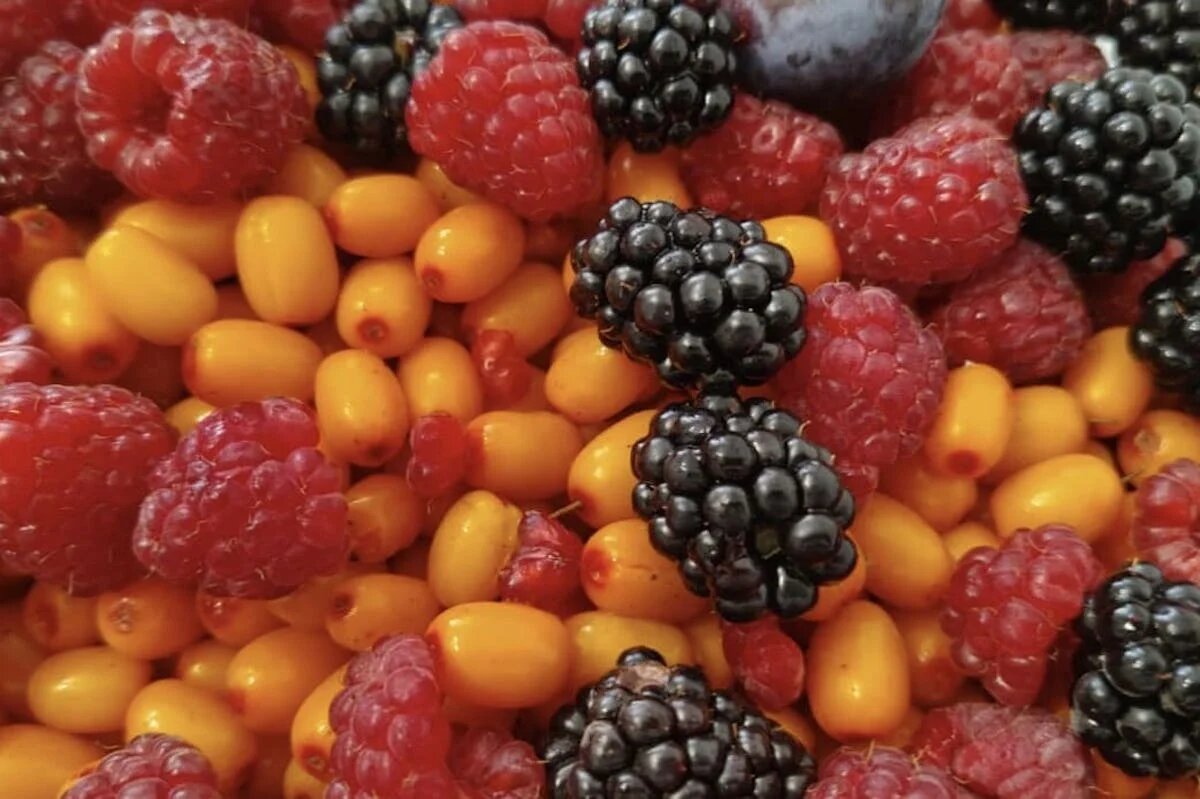 Фото: UfaTime.ru