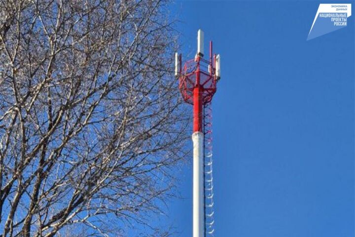    Фото:Пресс-служба министерства цифрового развития и связи Хабаровского края