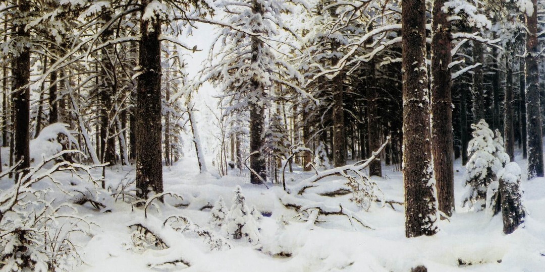 Морозная сказка и хрустящие сугробы: эти зимние картины вернут вас в детство