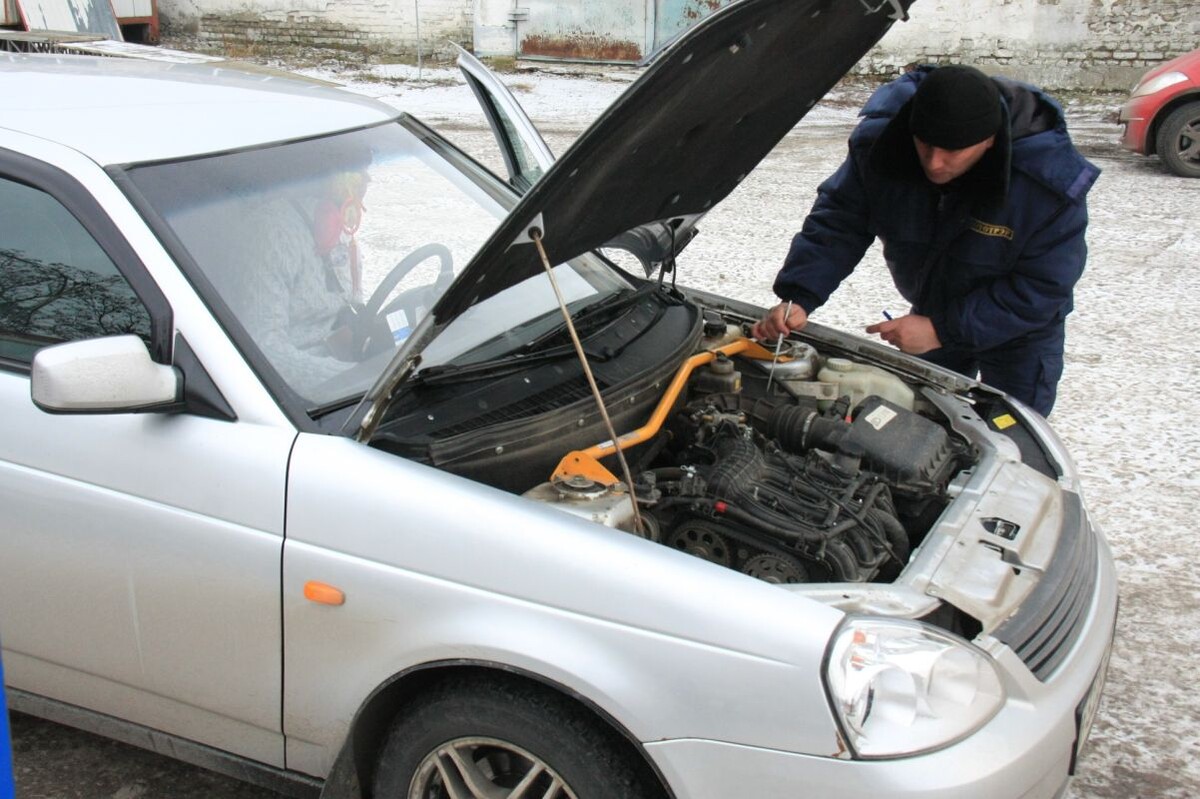   Фото: Алексей Чухланцев