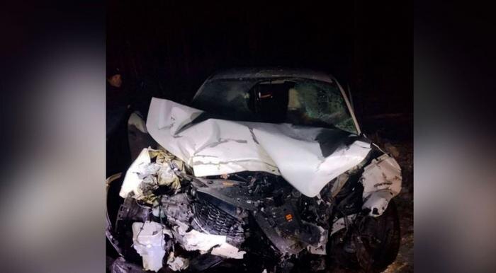 Обложка © Telegram / Владимир Севастьянов