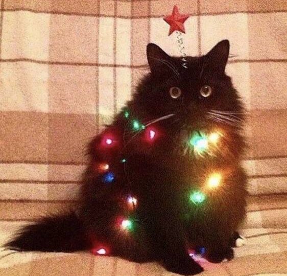 Обратный отсчет начался! До самого волшебного праздника осталось всего 9 дней