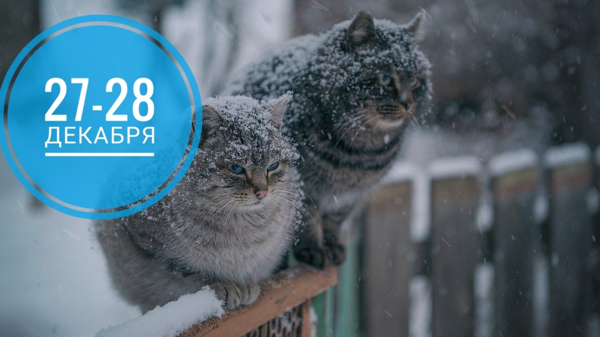 Нумерологический прогноз на 27 и 28 декабря