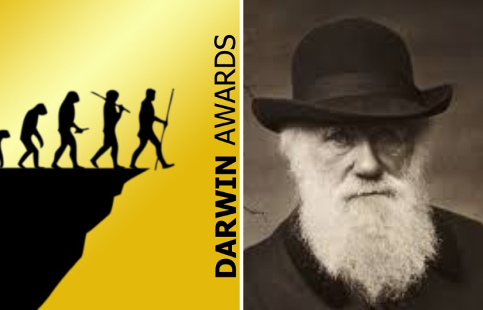 Фото из свободных источников.