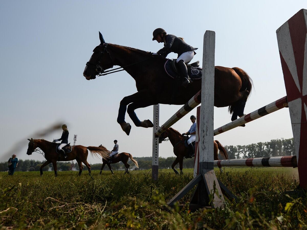    Конный спорт - конь прыгает | © РИА Новости / Александр Кряжев