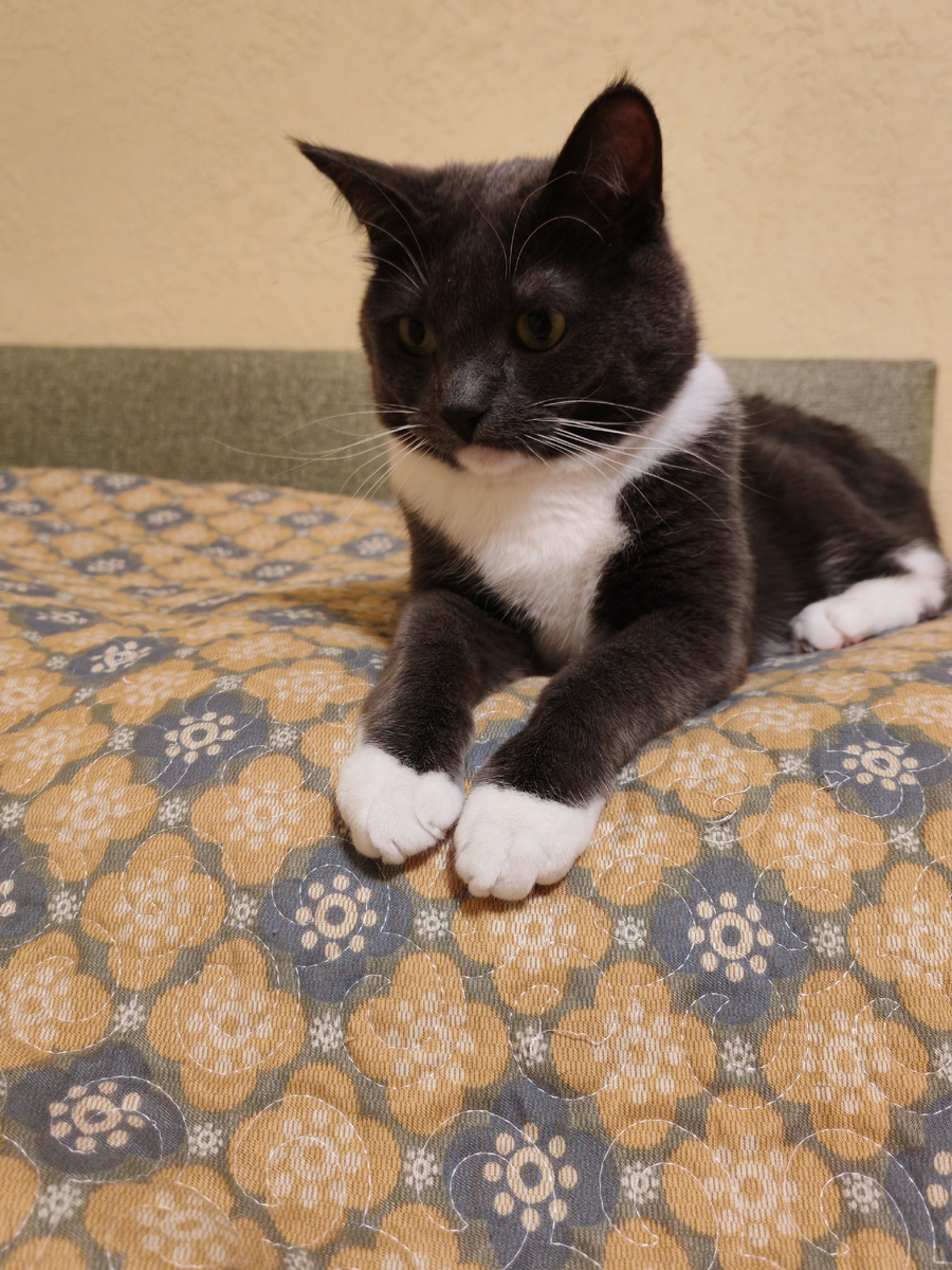 Будьте счастливы! 