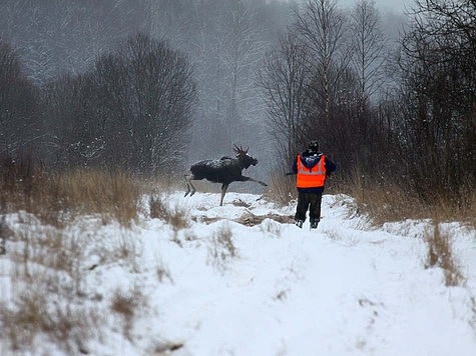 Фото А.Журакова