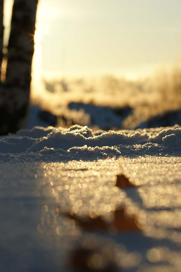 Фото Р, Москалюка