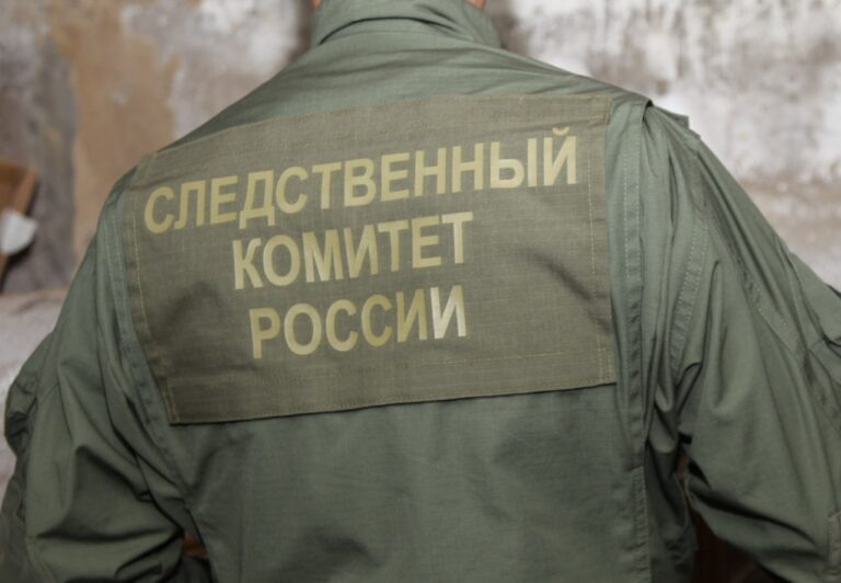    В Асекеевском районе рецидивист жестоко убил собутыльника Оренбуржье