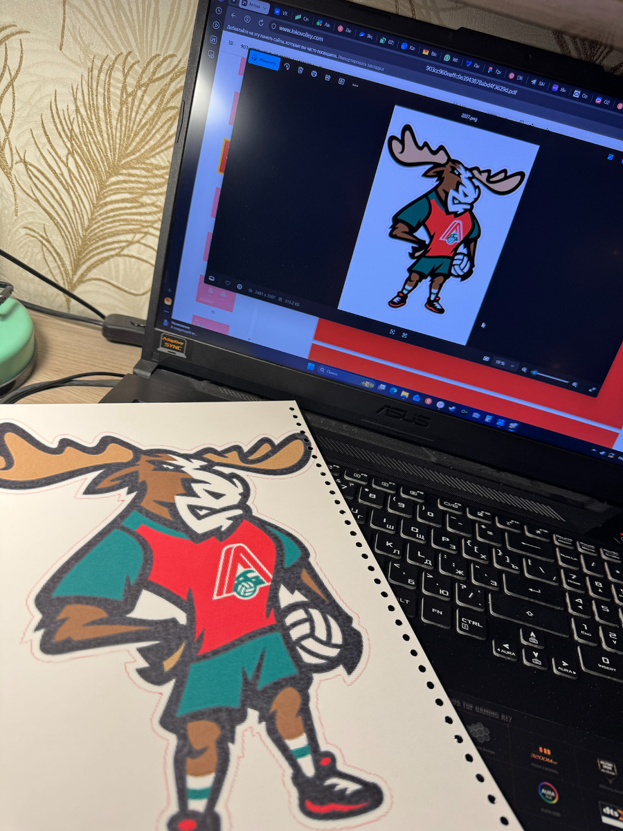 Вот мой первый шаблон, который я распечатала в цветном варианте. Такой рисунок в таком размере будет спереди на футболке.