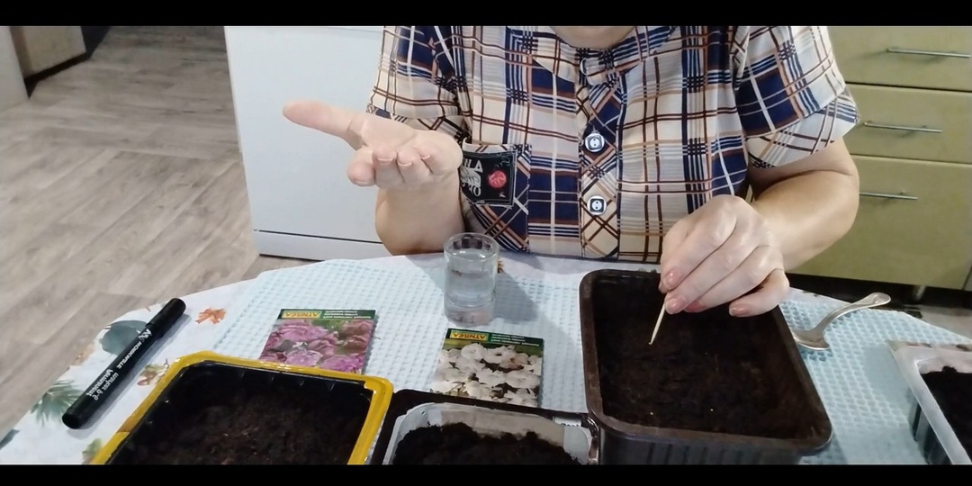 Сею эустому на рассаду. Готовлю салат «Мимоза».