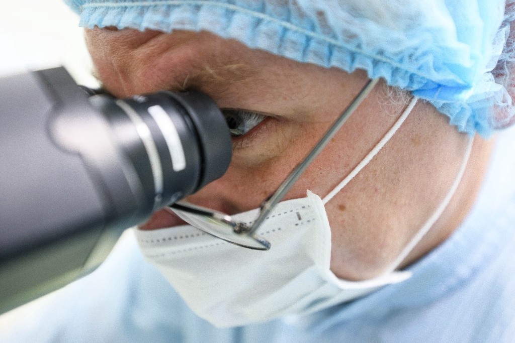    Фото © Владимир Смирнов / ТАСС