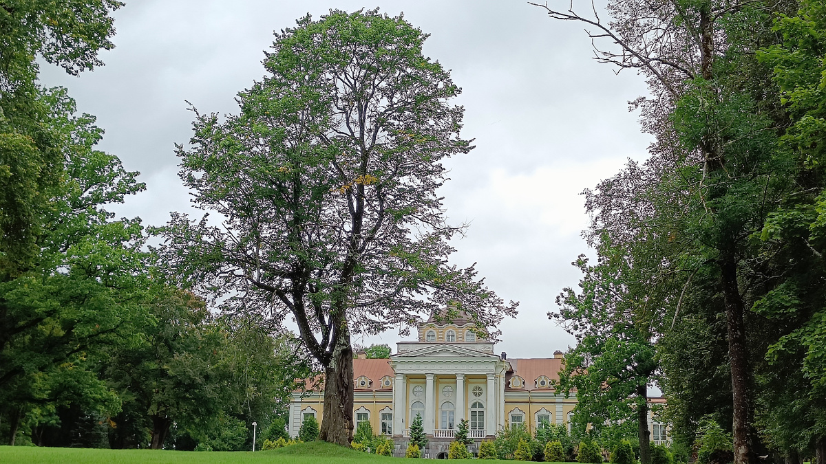 Дворец в усадьбе "Елизаветино"