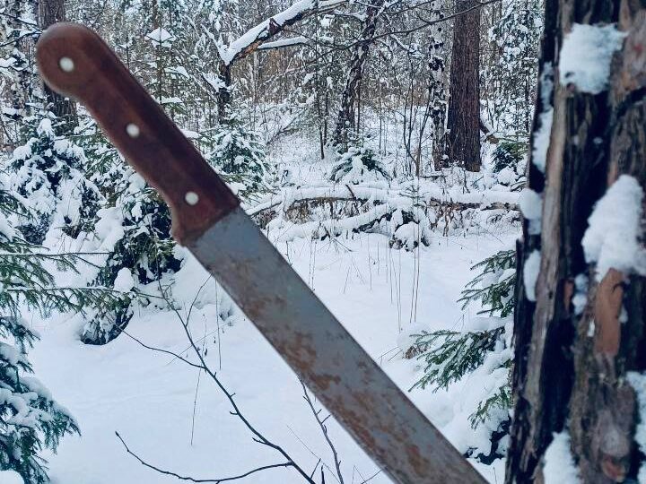 День энергетика