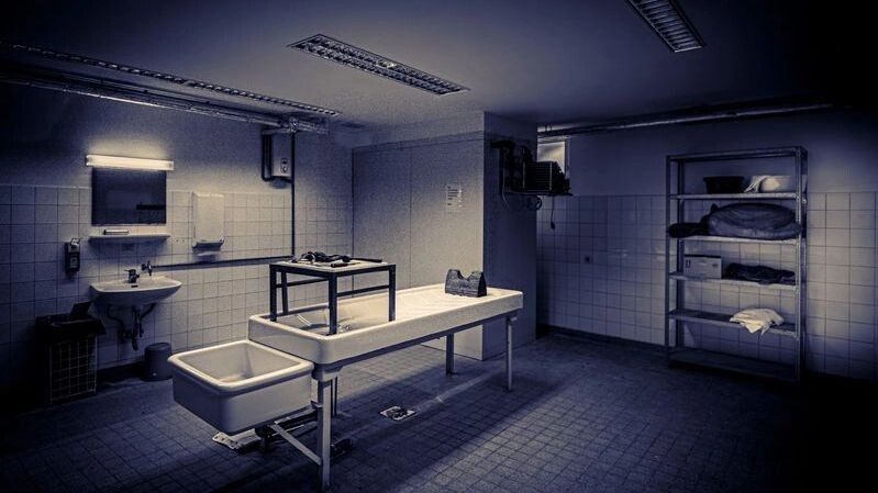    Фото: Kai Malter/Shutterstock/Fotodom