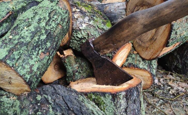    фото Курские известия