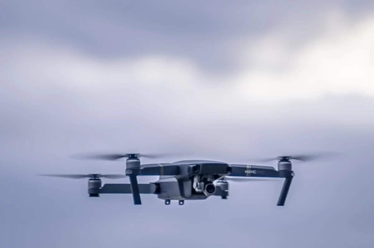    Во Владимирской области с помощью дронов проверили полторы тысячи участков