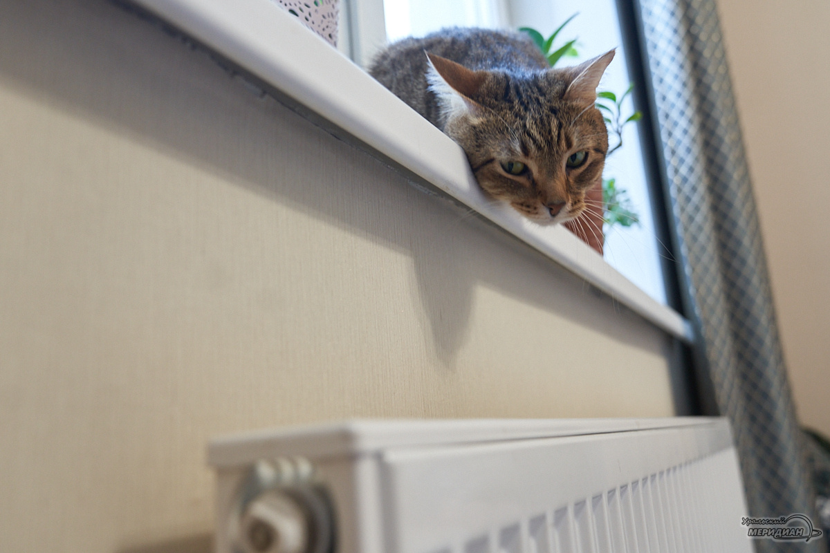    Фото: Лидия Аникина © ИА «Уральский меридиан»