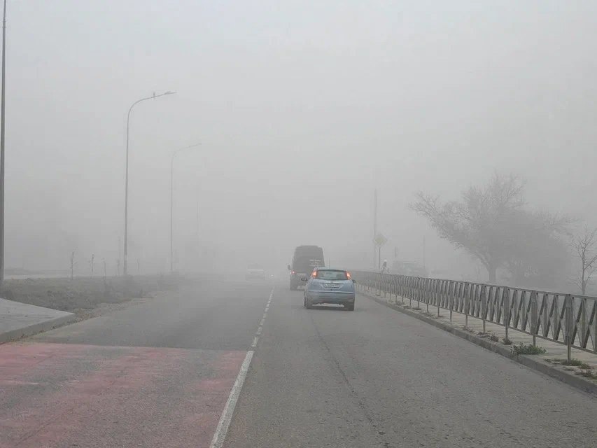    Фото: Юрий Серебренников/BFM Кубань