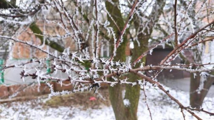 Иллюстрация: © «Панорама»