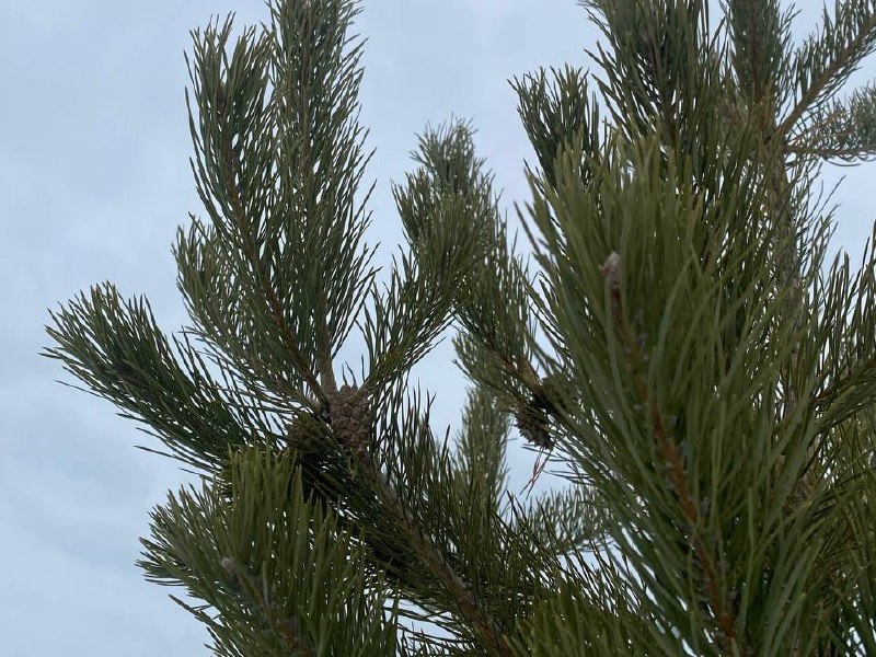    Фото: REGIONS/Мария Толстикова