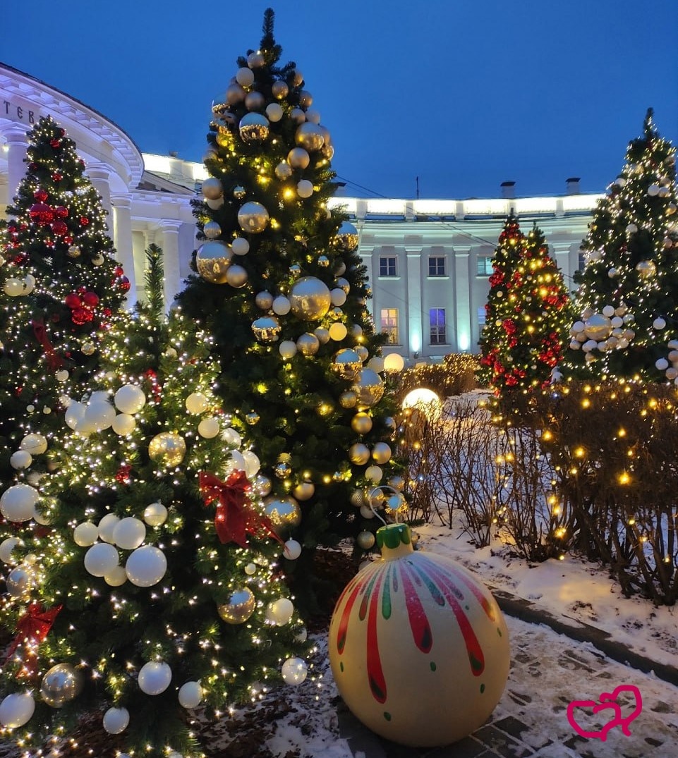 Сказочный новогодний ёлочный лес (фото автора) 