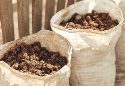 Конский перегной в мешках. Фото из открытых источников