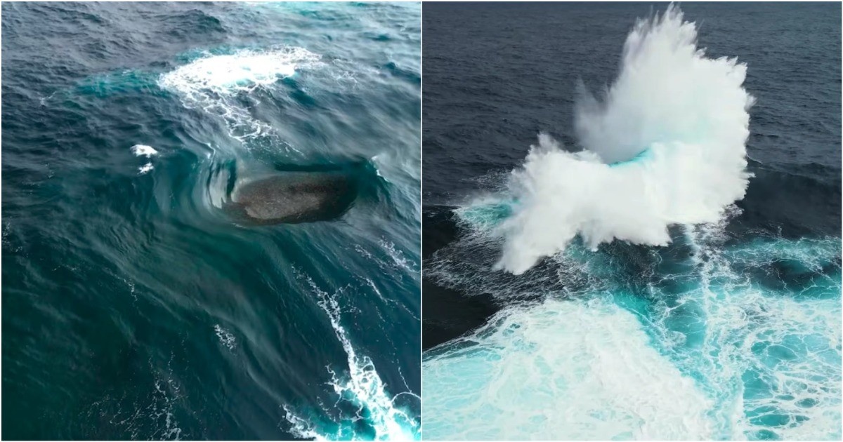 Источник: net.au