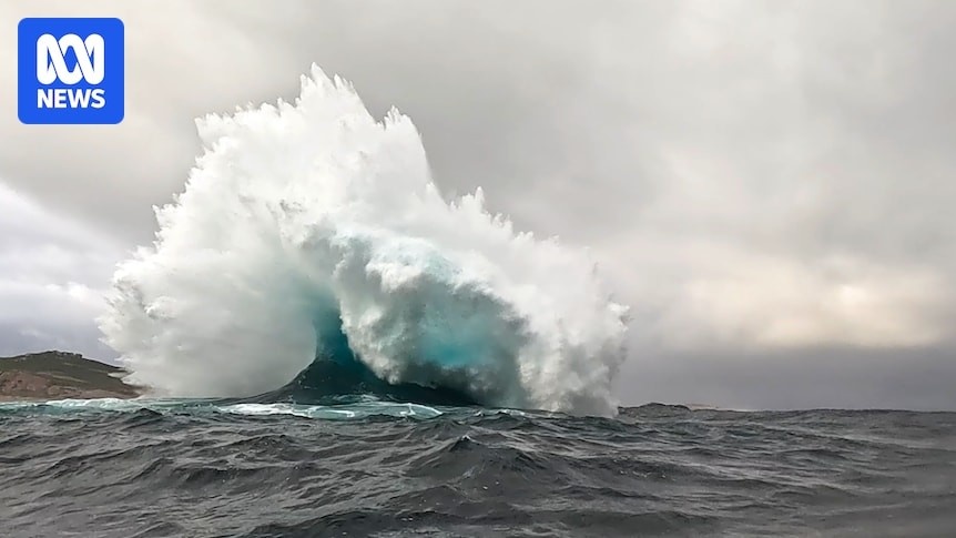 Источник: net.au