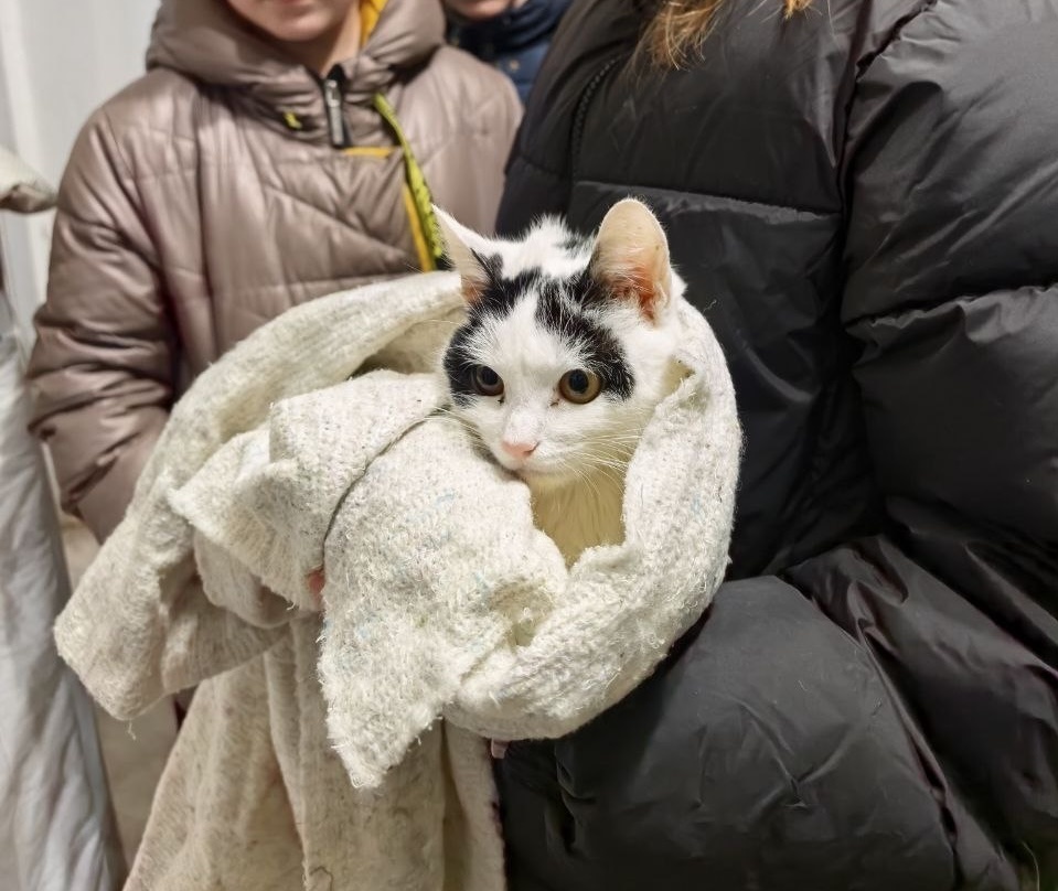 Детвора всей гурьбой принесла малышку ко мне. Фото из архива автора