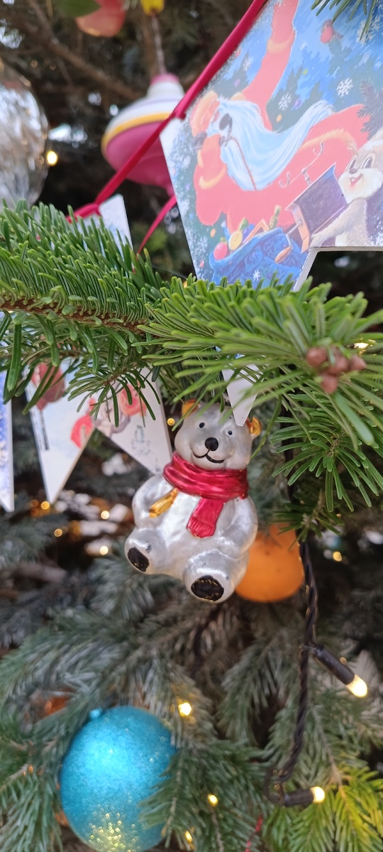 Фотография сделана на Фестивальной площадке «Московские сезоны» в Северном Медведково
