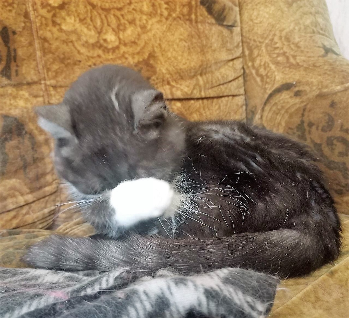 Ба-Буське тоже за меня совестно)