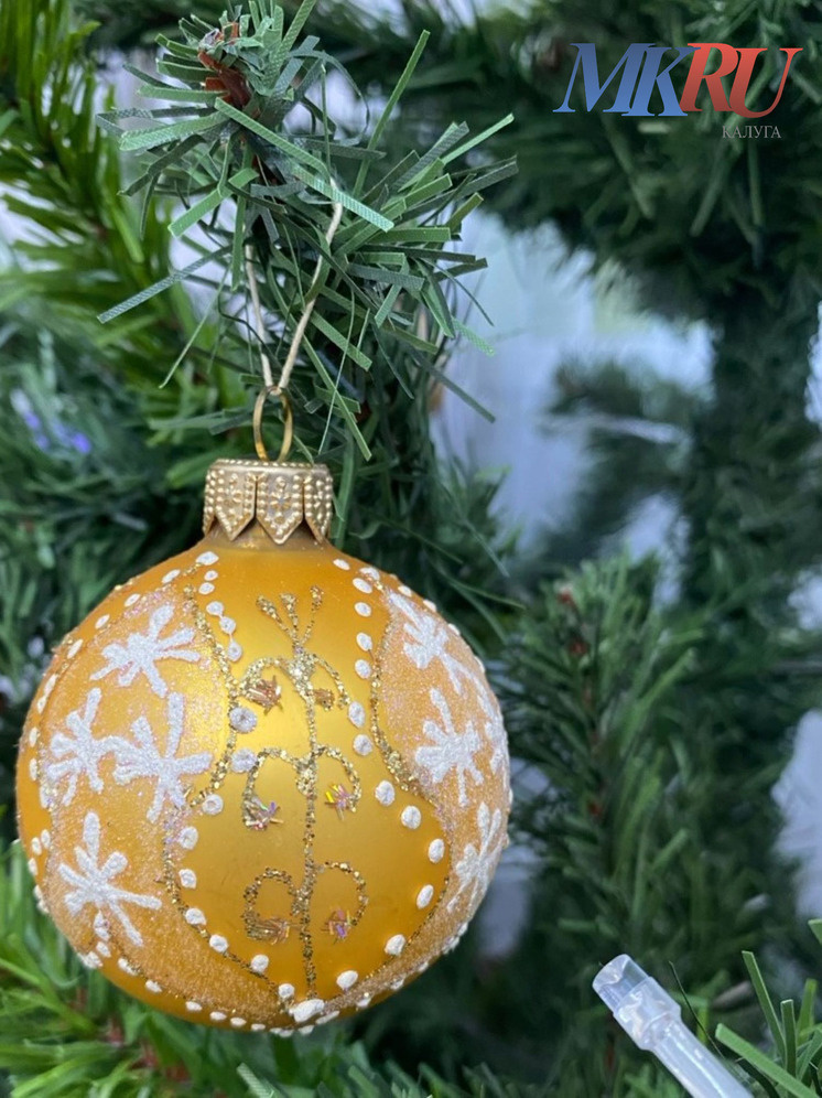     Фото: "МК в Калуге"