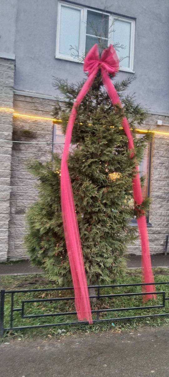 С наступающим новым годом!