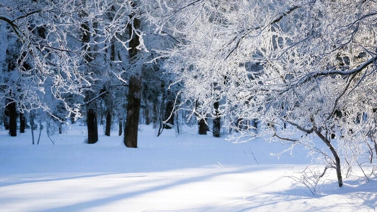21 декабря  день зимнего солнцестояния