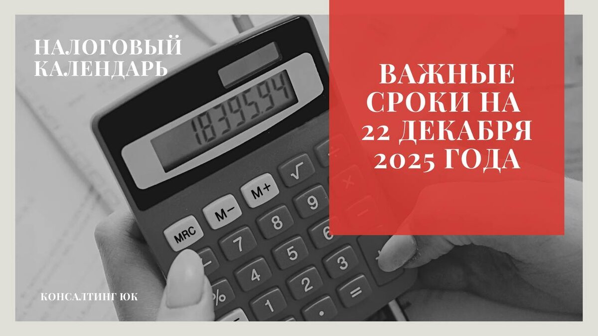 Важные сроки на 22 декабря 2025 года
