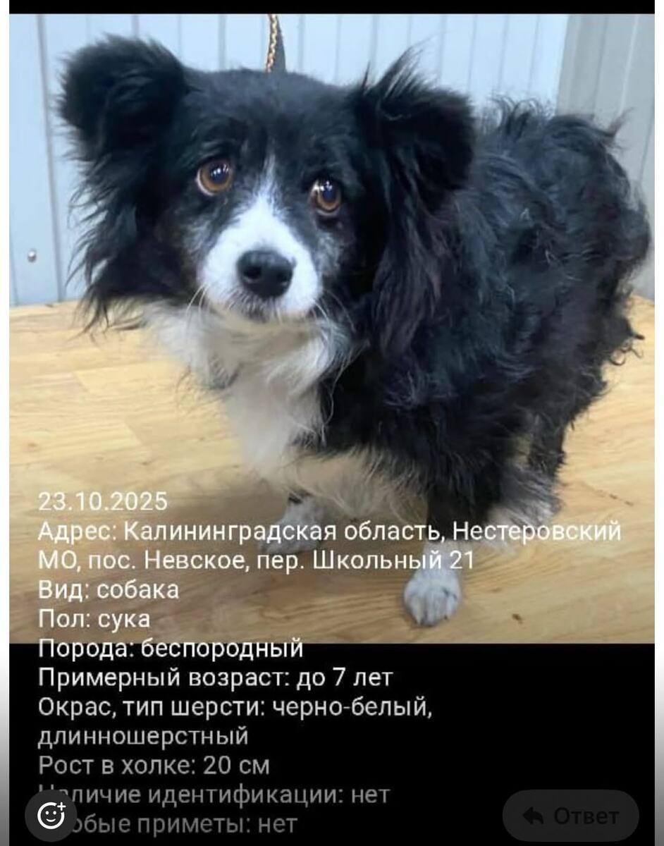 Так мы увидели нашу Лолли впервые