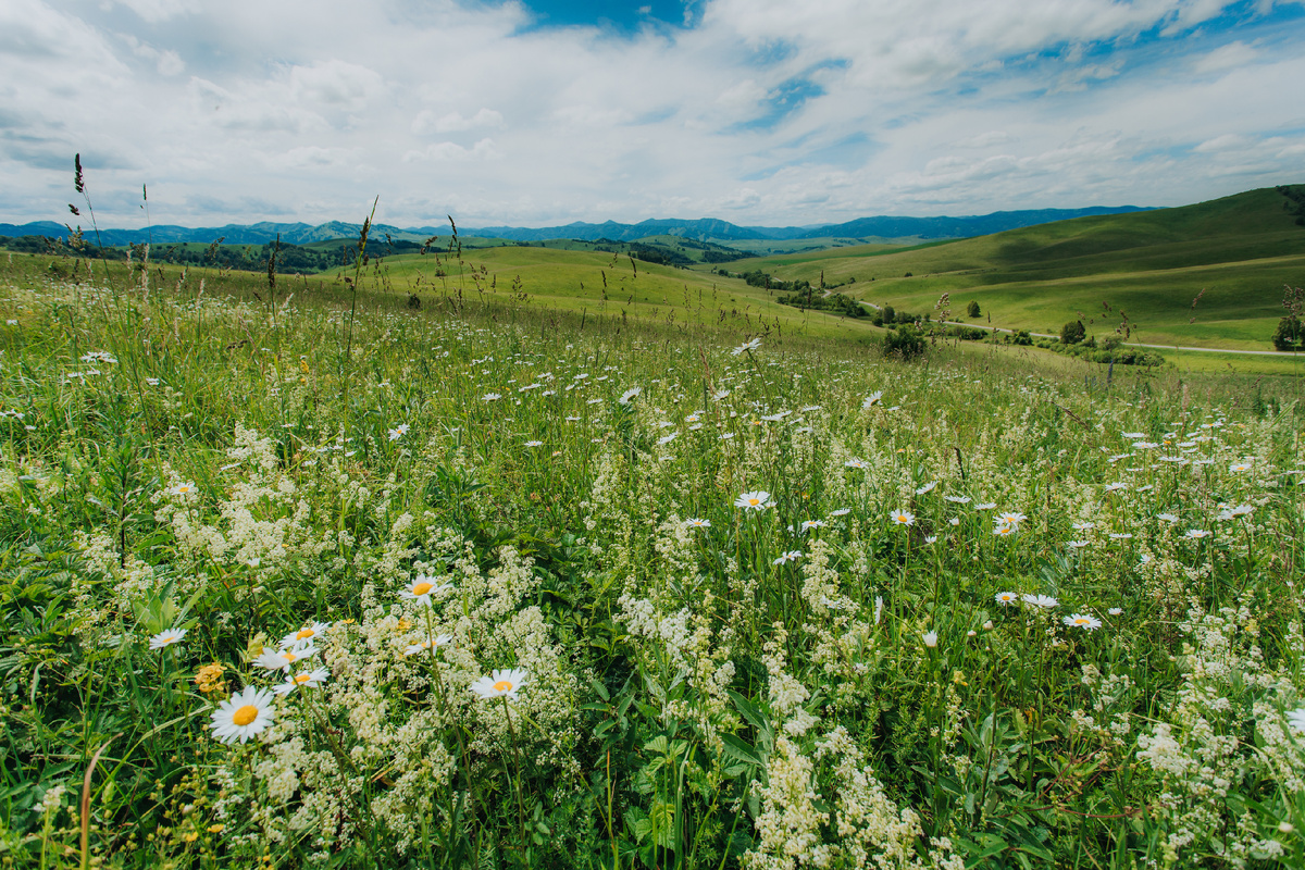 фото: Валерий Степанюк