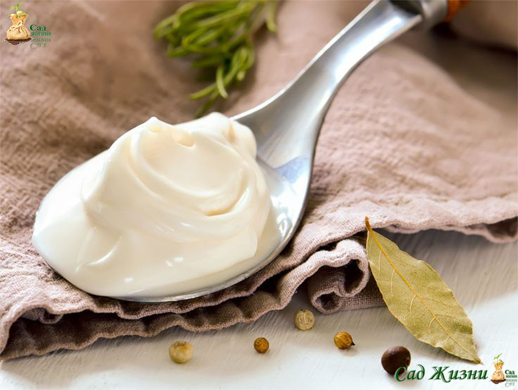 Почему многие так любят заправлять салаты майонезом