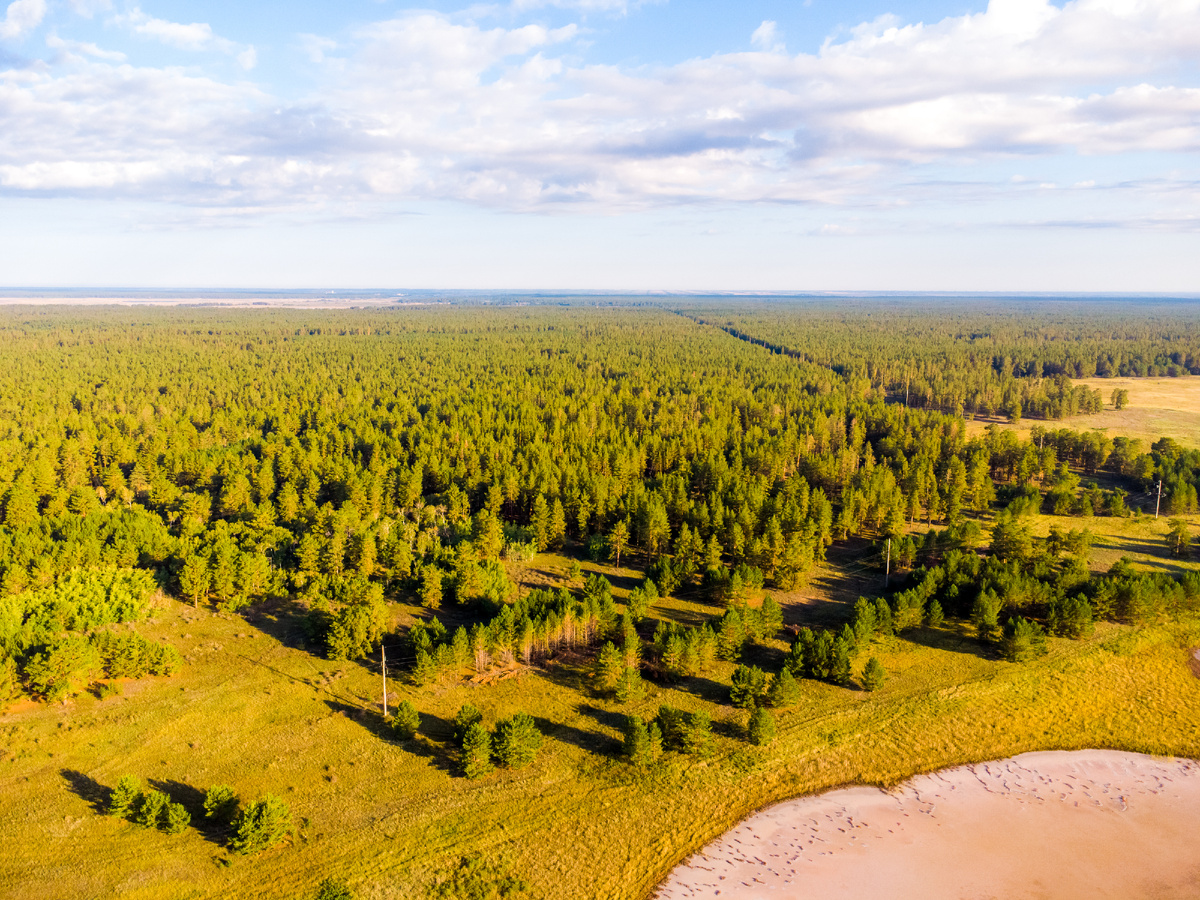 фото: Валерий Степанюк
