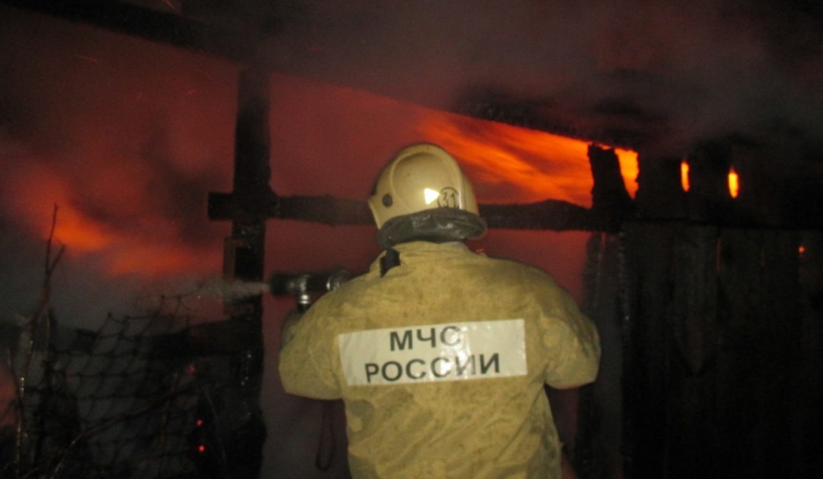     Фото предоставлено пресс-службой ГУ МЧС по Воронежской области