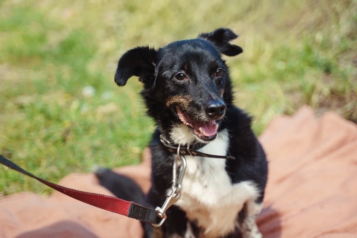 Когда мы видим, как наш особенный мальчик Барнаби щурится на солнышке, наши сердца замирают от нежности.