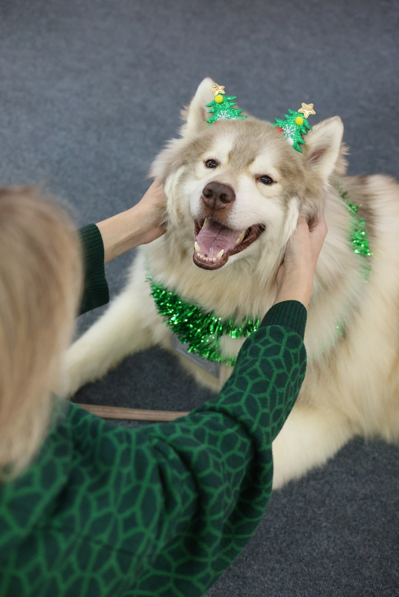 Все были нарядные
