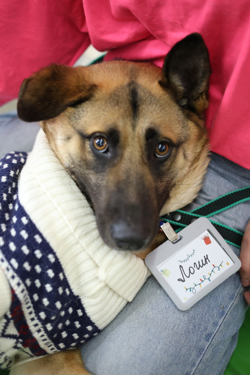 Участники были с личными бейджами и в нарядах