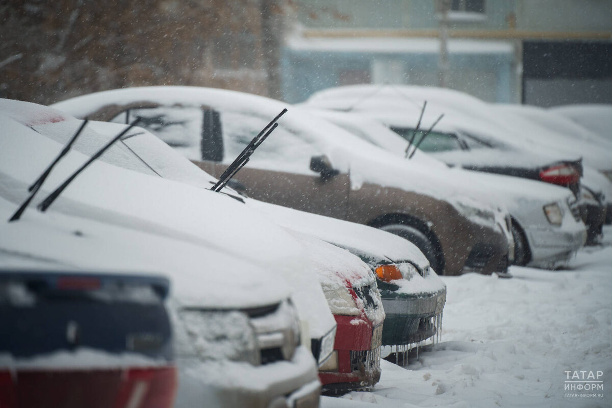 Фото: © Владимир Васильев / «Татар-информ»