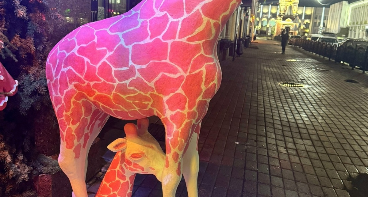    фото из группы ВКонтакте "Жесть Ярославль"