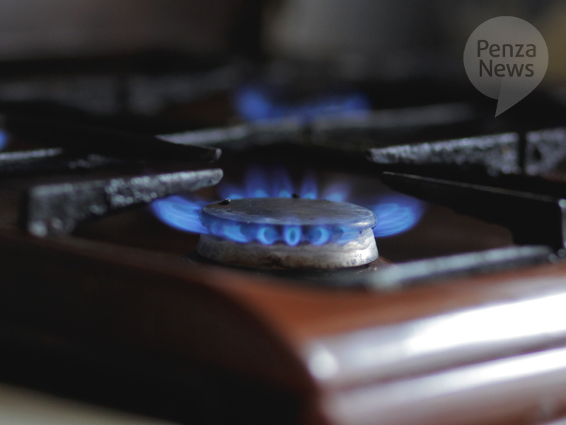    © Фото из архива ИА «PenzaNews»