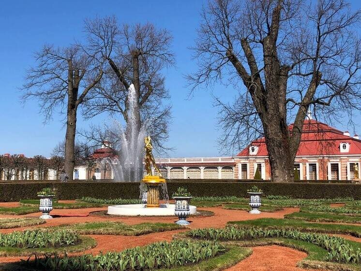     В последний раз ее проводили во дворце в 1960-е годы. Фото: Neva.Today / Анастасия Смирнова