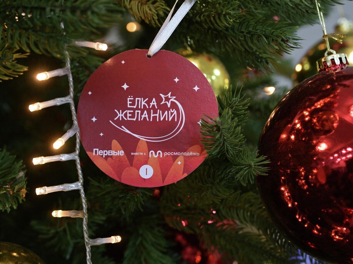    Всероссийская новогодняя благотворительная акция "Ëлка желаний" в Государственной Думе РФ | © РИА Новости / Владимир Федоренко