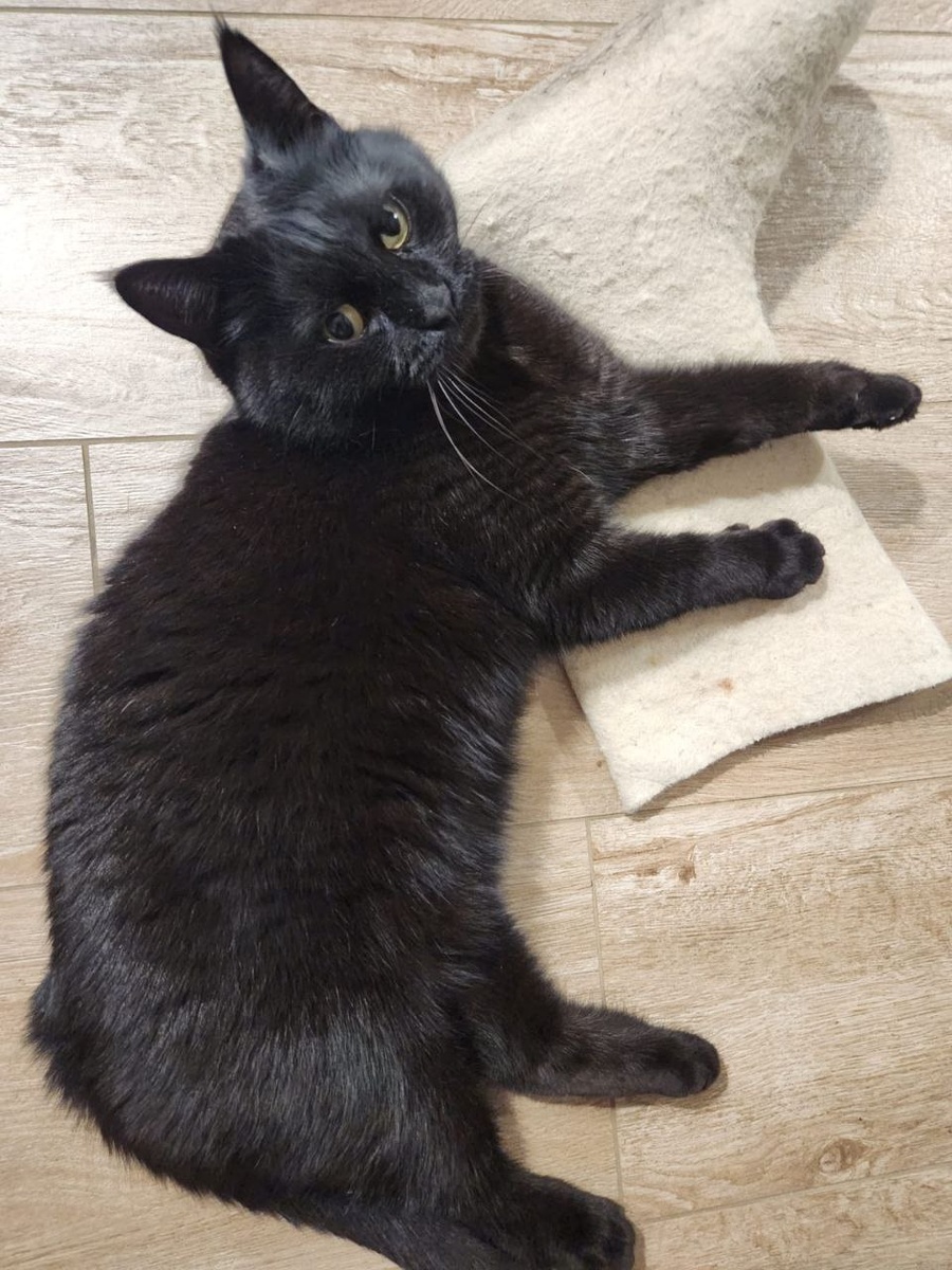 #Астропрогноз на 22-28 декабря 2025. Ключевые аспекты дня